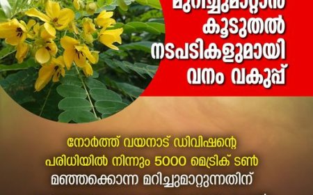 മഞ്ഞക്കൊന്ന മുറിച്ചുമാറ്റാൻ കൂടുതൽ നടപടികളുമായി വനം വകുപ്പ്