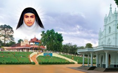 വിശുദ്ധ അല്ഫോന്സാമ്മയുടെ തിരുനാള് ജൂലൈ 19 മുതല് 28 വരെ