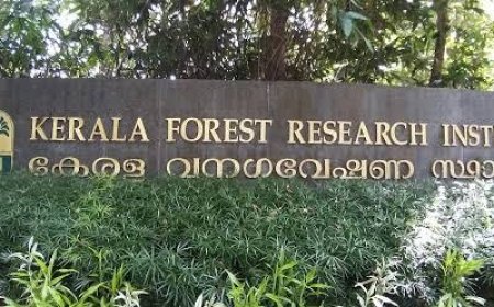 പീച്ചി വന ഗവേഷണ സ്ഥാപനത്തിൽ പ്രോജക്ട് ഫെലോ