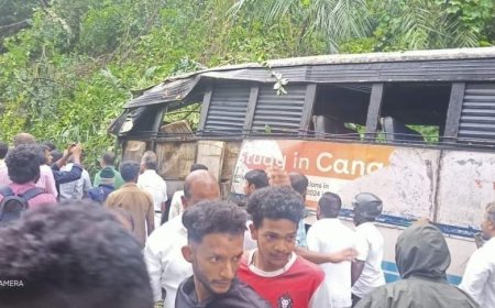 നേര്യമംഗലത്ത് ഓടികൊണ്ടിരുന്ന കാറിനും ബസിനും മുകളിലേക്ക് വൻമരം കടപുഴകി വീണു,ഒരു മരണം, മൂന്നു പേർക്ക് പരുക്ക്