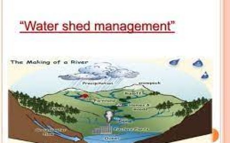 വാട്ടർ ഷെഡ് മാനേജ്മെന്റ് ഡിപ്ലോമ കോഴ്സ്