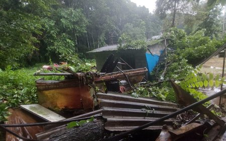 വനത്തിൽനിന്നും മരം വീണ് ആശ്രമകെട്ടിടം തകർന്നു