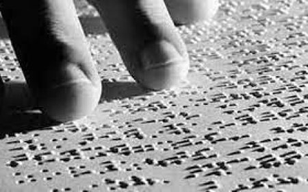 ബ്രെയിൽ സാക്ഷരതാ പദ്ധതി അവലോകനയോഗം ചേർന്നു