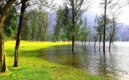 കനത്ത മഴ; കക്കയം, കരിയാത്തുംപാറ ടൂറിസ്റ്റ് കേന്ദ്രങ്ങള്‍ അടച്ചു