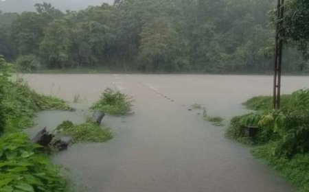 കനത്ത മഴയിൽ കുറുമ്പൻമുഴി, അറയാഞ്ഞിലിമണ്ണ് കോസ്‌വേകൾ  വെള്ളത്തിൽ, അഞ്ഞൂറോളം  കുടുംബങ്ങൾ ഒറ്റപെട്ടു