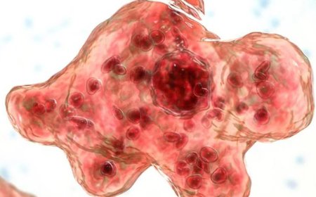 കോഴിക്കോട്ട് 12 കാരന് അമീബിക് മസ്തിഷ്ക ജ്വരം സ്ഥിരീകരിച്ചു; കുട്ടിയുടെ നില ഗുരുതരം