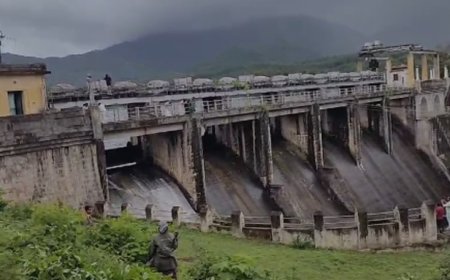 പാലക്കാട് മംഗലം ഡാമിൽ രണ്ട് സ്പിൽവേ ഷട്ടറുകൾ തുറന്നു