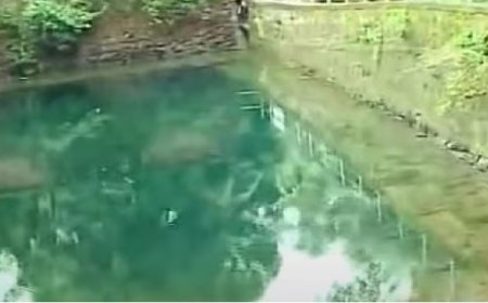 അമീബിക് മസ്തിഷ്ക ജ്വരം: കോഴിക്കോട്ടെ അച്ചൻകുളം അടച്ചു