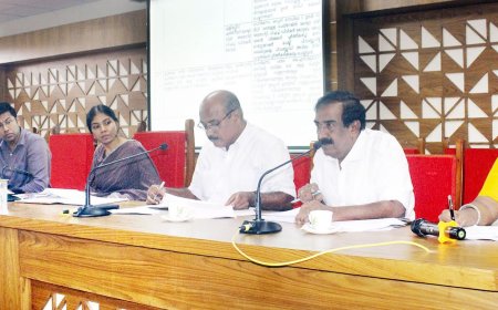 നടപ്പാതകൾ കൈയേറുന്നതിനെതിരേ നടപടി വേണമെന്നു ജില്ലാ വികസന സമിതി