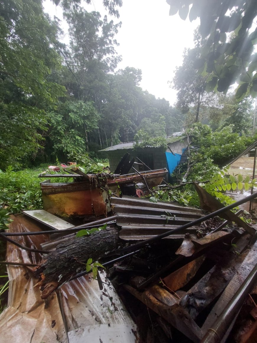 വനത്തിൽനിന്നും മരം വീണ് ആശ്രമകെട്ടിടം തകർന്നു