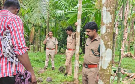 മ​ല​യോ​ര​ത്തെ വി​റ​പ്പി​ച്ച് കാ​ട്ടാ​ന​ക്കൂ​ട്ട​ങ്ങ​ൾ; പാ​ണ​ത്തൂ​ർ പ​രി​യാ​ര​ത്തും മാ​ലോ​ത്തും ദി​വ​സ​ങ്ങ​ളാ​യി കാ​ട്ടാ​ന​ക്കൂ​ട്ട​മി​റ​ങ്ങു​ന്നു.