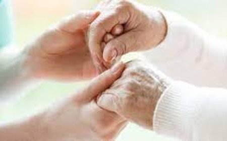 സാന്ത്വനപരിചരണത്തില് പുതിയ സേനയുമായി ജില്ല പഞ്ചായത്ത് -പരിശീലനം പൂര്ത്തിയാക്കി 220 പേര് പുറത്തിറങ്ങി -സംസ്ഥാനത്തെ ആദ്യ സംരംഭം