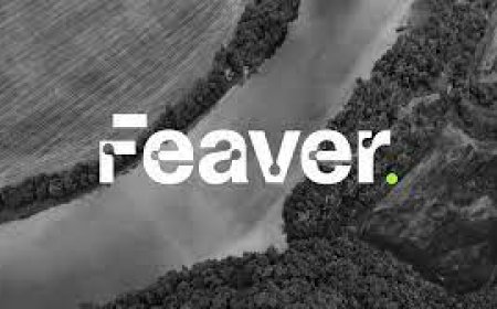 പനി: ആശങ്കപ്പെടേണ്ട സാഹചര്യമില്ലെന്ന് ഡി.എം.ഒ.