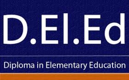 2024-2026 അധ്യായന വർഷത്തെ D.El.Ed (പഴയ TTC) കോഴ്സിന് അപേക്ഷ ക്ഷണിച്ചു..