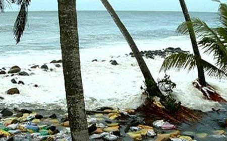 രൂ​ക്ഷ​മാ​യ ക​ട​ലാ​ക്ര​മ​ണ​ത്തി​ന് പ​രി​ഹാ​രം കാ​ണ​ണ​മെ​ന്ന് ആ​വ​ശ്യ​പ്പെ​ട്ട് സ​മ​ര​സ​മി​തി​യു​ടെ നേ​തൃ​ത്വ​ത്തി​ൽ ചെ​ല്ലാ​ന​ത്ത് ഹ​ർ​ത്താ​ൽ