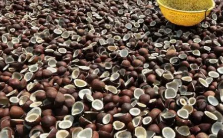 കൊപ്ര സംഭരിക്കാൻ മൾട്ടി സ്റ്റേറ്റ് സഹകരണസംഘത്തെ ഏജൻസിയായി നിയമിച്ച് സർക്കാർ