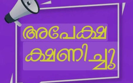 ധനവകുപ്പിൽ ഐടി ഡയറക്ടർ തസ്തികയിലേക്ക് അപേക്ഷ ക്ഷണിച്ചു