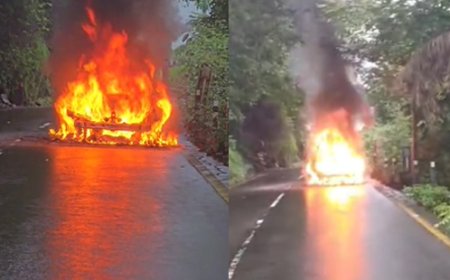 ഓടിക്കൊണ്ടിരുന്ന കാർ താമരശ്ശേരി ഒൻപതാം വളവിന് താഴെ കത്തിനശിച്ചു