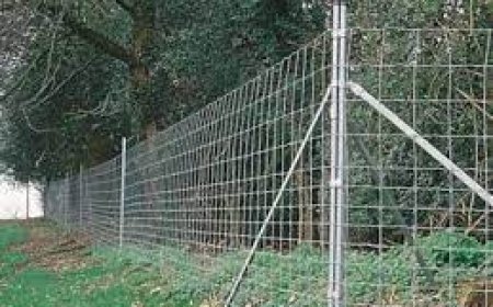 എ​​രു​​മേ​​ലി, മു​​ണ്ട​​ക്ക​​യം വ​​നാ​​തി​​ര്‍​ത്തി​​യി​​ല്‍ കി​​ട​​ങ്ങും വേ​​ലി​​യും നി​​ര്‍​മി​​ക്കും