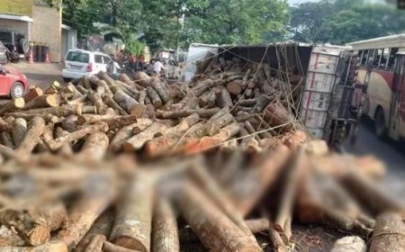 വെണ്ണലയിൽ തടി ലോറി മറിഞ്ഞ് ഡ്രൈവർക്ക് പരിക്ക്