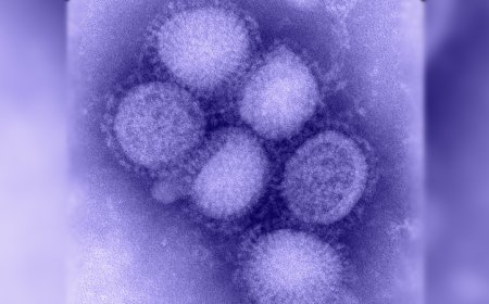 മലപ്പുറത്ത് 12 പേർക്ക് കൂടി എച്ച് വൺ എൻ വൺ : ജാഗ്രതാ നിർദ്ദേശവുമായി ആരോഗ്യവകുപ്പ്