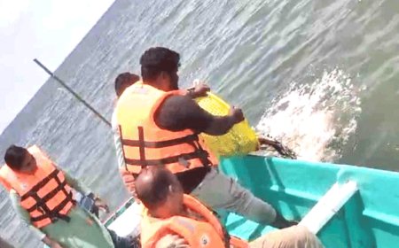 വിലക്ക്​ ലംഘിച്ച്​ ചെറുമീനുകളെ പിടിക്കുന്നു; നടപടിയുമായി ഫിഷറീസ്​ വകുപ്പ്​