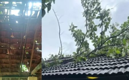 സ്കൂളിന് മുകളിലേക്ക് മരം കടപുഴകി വീണു