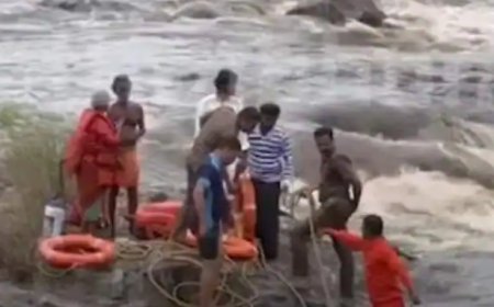 ചിറ്റൂര് പുഴയുടെ നടുവില് കുടുങ്ങിയ നാലുപേരേയും രക്ഷപ്പെടുത്തി.