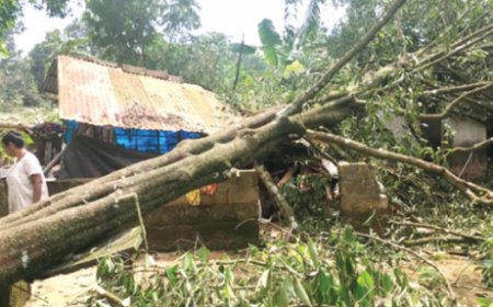 കാ​റ്റ്, മ​ഴ: കോ​ട്ട​യ​ത്തും ജി​ല്ല​യു​ടെ വി​വി​ധ ഭാ​ഗ​ങ്ങ​ളി​ലും വ്യാ​പ​ക നാ​ശ​ന​ഷ്ടം