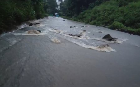 വയനാട്ടിൽ കനത്ത മഴ തുടരുന്നു;ദേശീയ പാത 766 ൽ വെള്ളം കയറിയതിനെ തുടർന്ന് ഗതാഗതം സ്തംഭിച്ചു