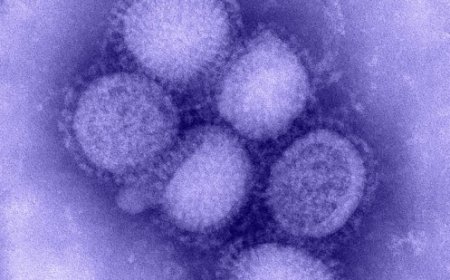 മലപ്പുറത്ത് എച്ച്1 എൻ1 ബാധിച്ച് ഒരാൾ മരിച്ചു