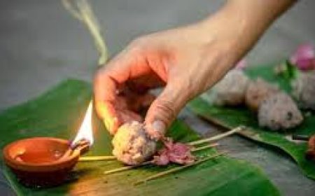 കർക്കടക വാവുബലി;എല്ലാ സജ്ജീകരണങ്ങളും ഒരുക്കാൻ വിവിധ വകുപ്പുകൾക്ക് ജില്ലാ കളക്ടർ ജെറോമിക് ജോർജ് നിർദ്ദേശം നൽകി