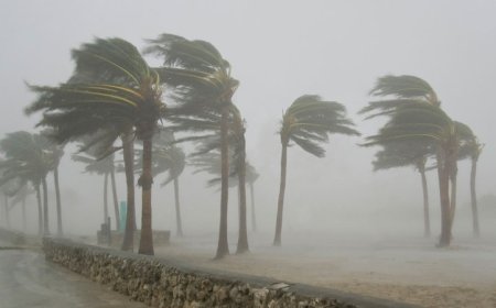 ശക്തമായ കാറ്റിനെ നേരിടാൻ ജാഗ്രതവേണം