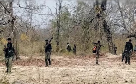 ഛത്തീസ്ഗഢിൽ മാവോയിസ്റ്റ് ആക്രമണം : സ്പെഷ്യൽ ടാസ്ക് ഫോഴ്സിലെ രണ്ട് ജവാന്മാർ വീരമൃത്യു വരിച്ചു