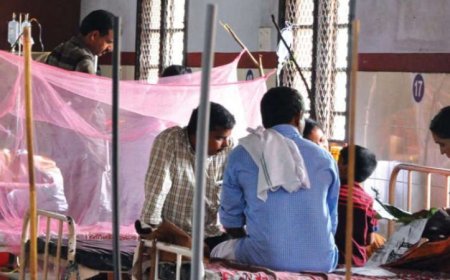 സംസ്ഥാനത്ത് പനി ബാധിച്ച് ചികിത്സ തേടിയവർ 12,508 : ഡെങ്കിപ്പനി ഭീതിയിൽ കൊച്ചി