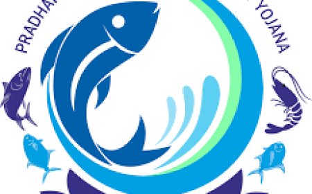 പ്രധാനമന്ത്രി മത്സ്യസമ്പദ യോജന: ഘടകപദ്ധതികളിലേക്ക് അപേക്ഷിക്കാം