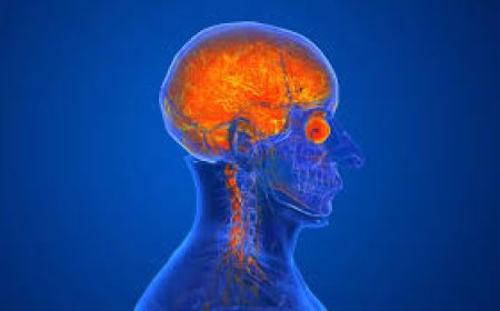 നിപ , അമീബിക് മസ്തിഷ്കജ്വരം സംശയം : രണ്ട് കുട്ടികൾ കോഴിക്കോട് സ്വകാര്യ ആശുപത്രിയിൽ നിരീക്ഷണത്തിൽ