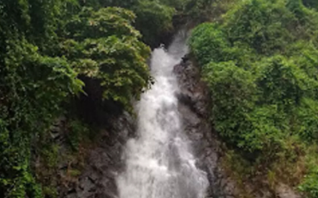 മൂന്നര വയസ്സുകാരന് അമീബിക് മസ്തിഷ്കജ്വരം ബാധിച്ചതിനെ തുടർന്ന് കാരക്കുണ്ട് വെള്ളച്ചാട്ടത്തിലേക്കുള്ള പ്രവേശനം നിരോധിച്ചു