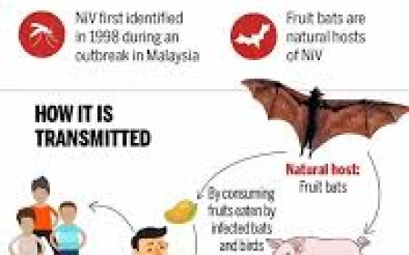 മുഖ്യമന്ത്രി അനുശോചിച്ചു.  നിപയെ നേരിടാൻ ഒരുമിച്ച് പ്രവർത്തിക്കാം