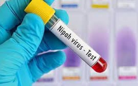 മലപ്പുറത്ത് നിപ്പ നിയന്ത്രണം പിൻവലിച്ചു