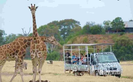 വരുന്നൂ....തളിപ്പറമ്പിൽ സൂ സഫാരി പാർക്ക് ; 256 ഏക്കർ  ഭൂമി വിട്ടുനൽകാൻ കൃഷി വകുപ്പ് തീരുമാനിച്ചു.