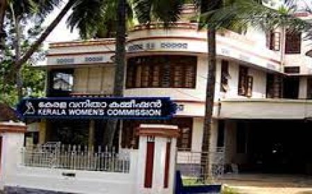 ഇന്റേണൽ കമ്മറ്റി പലയിടത്തും നിയമപ്രകാരമല്ല രൂപീകരിച്ചിട്ടുള്ളത്: അഡ്വ. ഇന്ദിരാ രവീന്ദ്രൻ