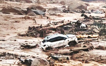 സംസ്ഥാനത്തു രണ്ടുദിവസം ദുഃഖാചരണം; പതാക താഴ്ത്തിക്കെട്ടും