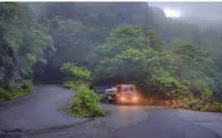 പാലക്കാട് ജില്ലയിലെ ചുരം റോഡുകളിലൂടെയുള്ള യാത്രയ്ക്കും വെള്ളച്ചാട്ടം സന്ദർശനത്തിനും നിയന്ത്രണം