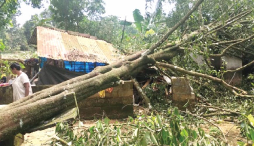 കാ​റ്റ്, മ​ഴ: കോ​ട്ട​യ​ത്തും ജി​ല്ല​യു​ടെ വി​വി​ധ ഭാ​ഗ​ങ്ങ​ളി​ലും വ്യാ​പ​ക നാ​ശ​ന​ഷ്ടം