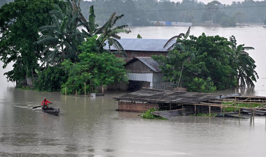 ഉത്തരേന്ത്യയിലും വടക്ക് കിഴക്കന്‍ സംസ്ഥാനങ്ങളിലും കനത്ത മഴ തുടരുന്നു