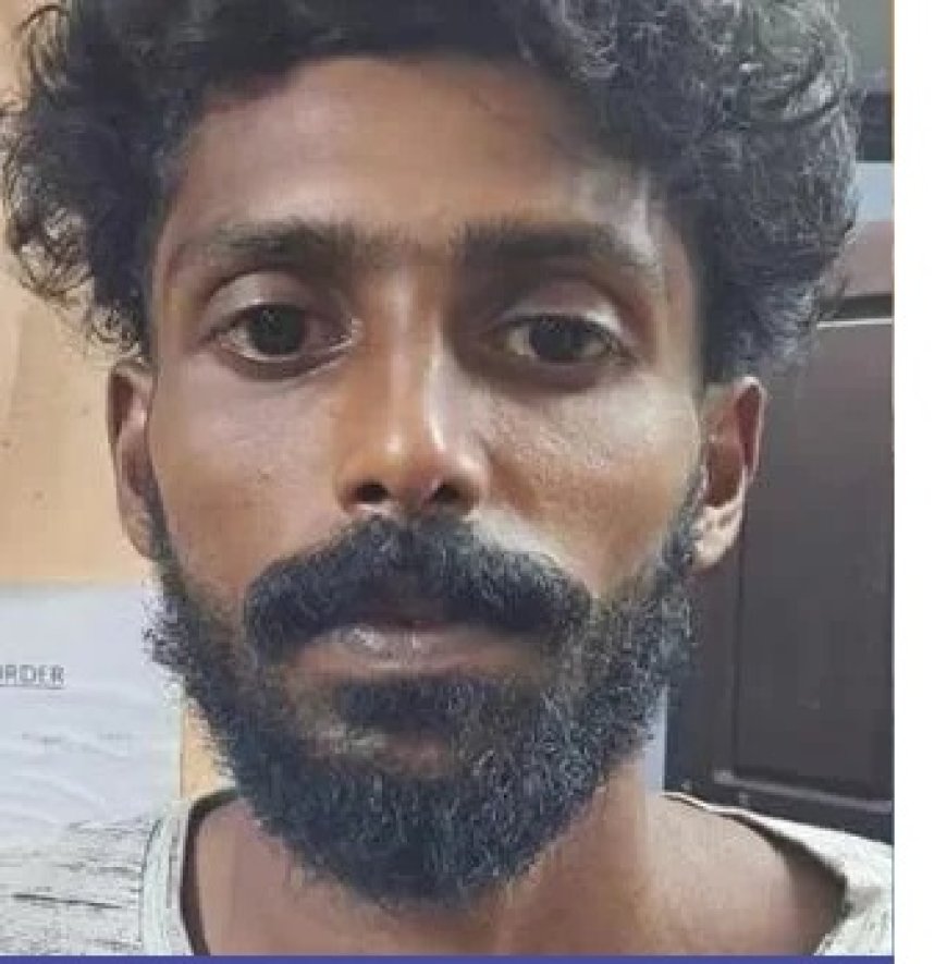 വീ​ട്ടു​മു​റ്റ​ത്ത് ക​ഞ്ചാ​വ് കൃ​ഷി; യു​വാ​വ് അ​റ​സ്റ്റി​ൽ