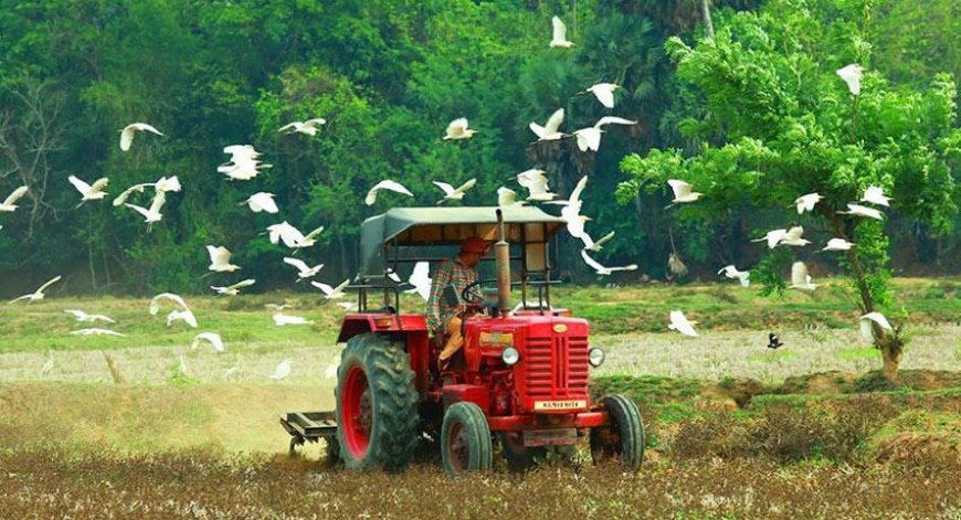 കാർഷികയന്ത്രങ്ങളുടെ അറ്റകുറ്റപ്പണിക്കായി പ്രത്യേക ക്യാമ്പുകൾ തുറക്കാനൊരുങ്ങി കൃഷിവകുപ്പ്