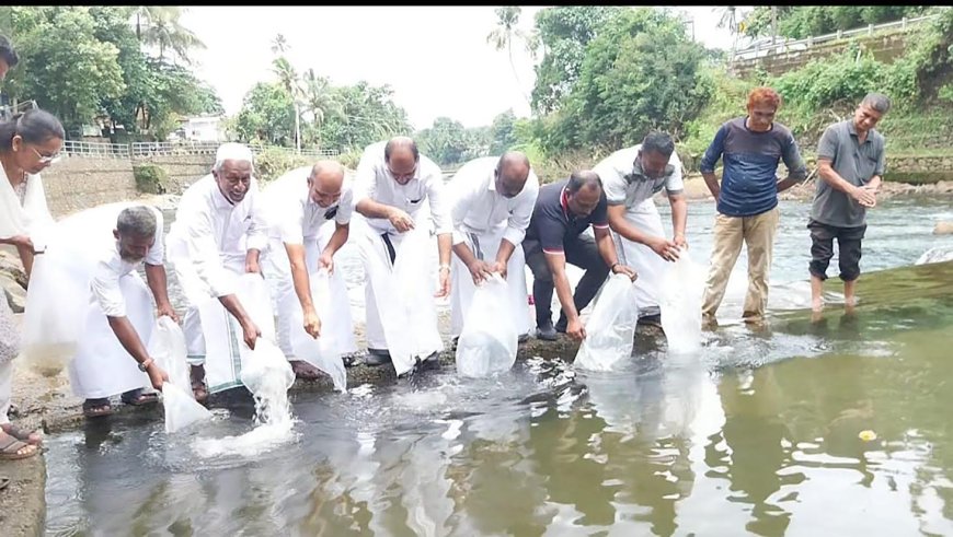 മത്സ്യക്കുഞ്ഞുങ്ങളെ നിക്ഷേപിച്ചു