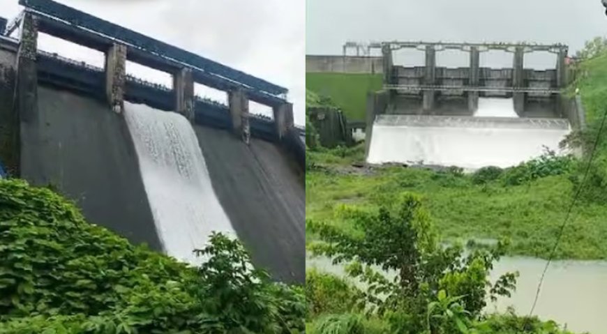 കനത്ത മഴയില്‍ ജലനിരപ്പ് ഉയരുന്നു, ബാണാസുരസാഗര്‍, പീച്ചി ഡാമുകള്‍ തുറന്നു